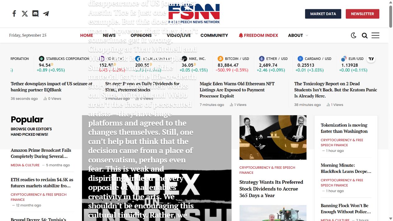 Homepage screenshot of FSNN